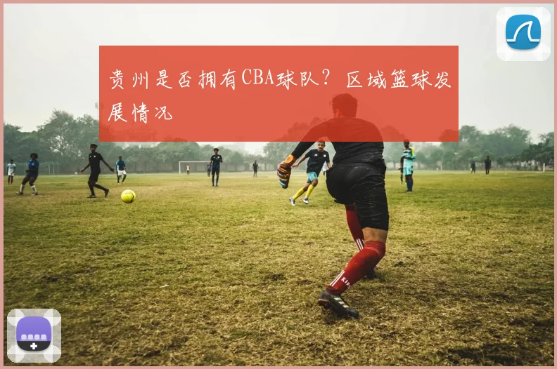 贵州是否拥有CBA球队？区域篮球发展情况
