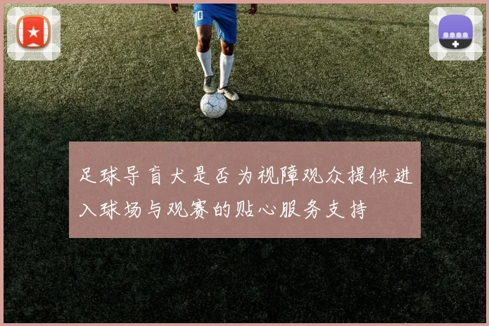 足球导盲犬是否为视障观众提供进入球场与观赛的贴心服务支持